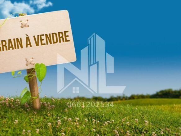 Vente- terrain-Guéliz