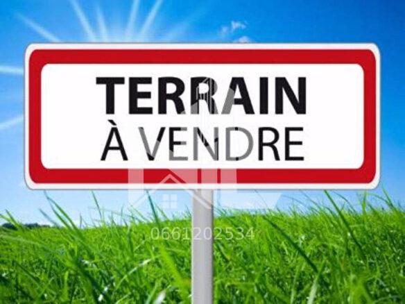 Terrain à Bab-atlas