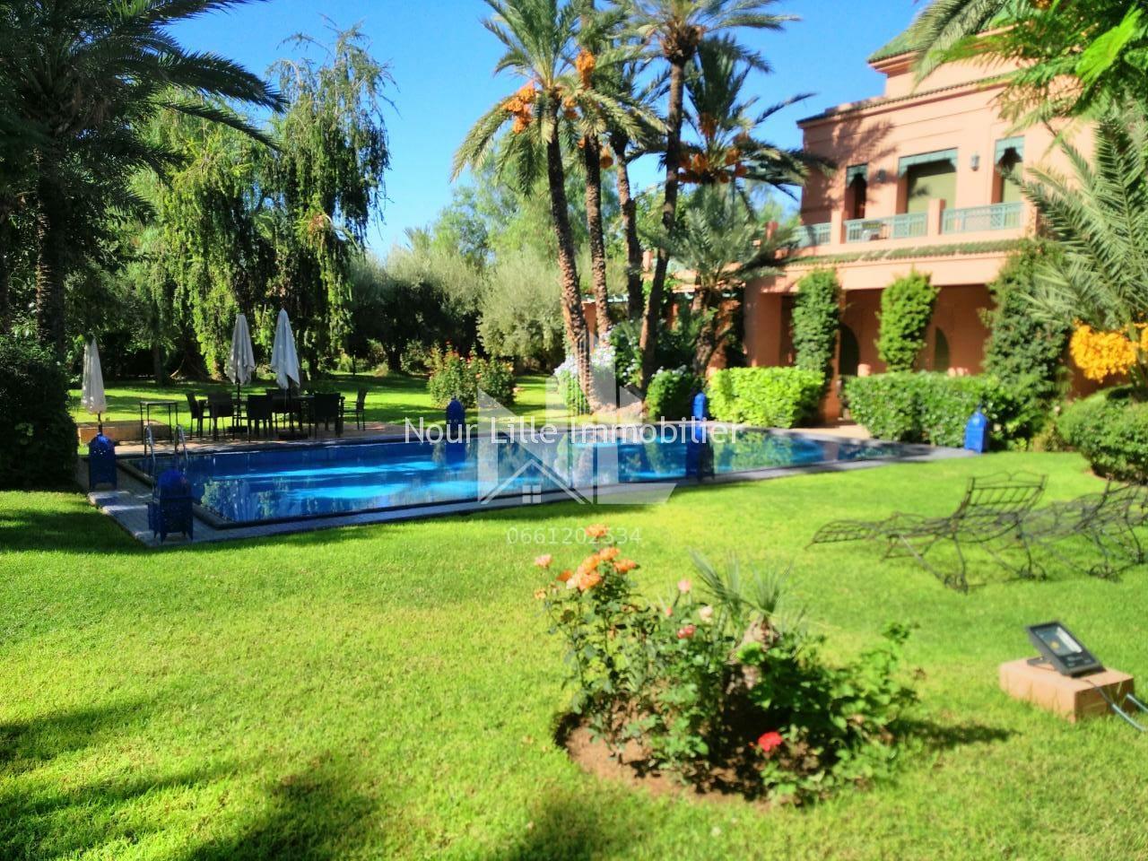 PALMERAIE